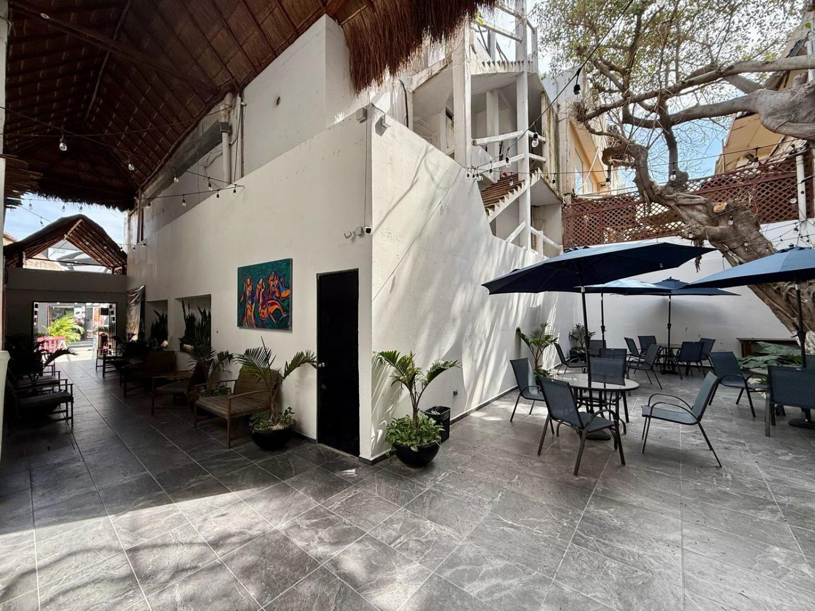 Casa Tortuga 5Th Ave Hotel Playa del Carmen Bagian luar foto