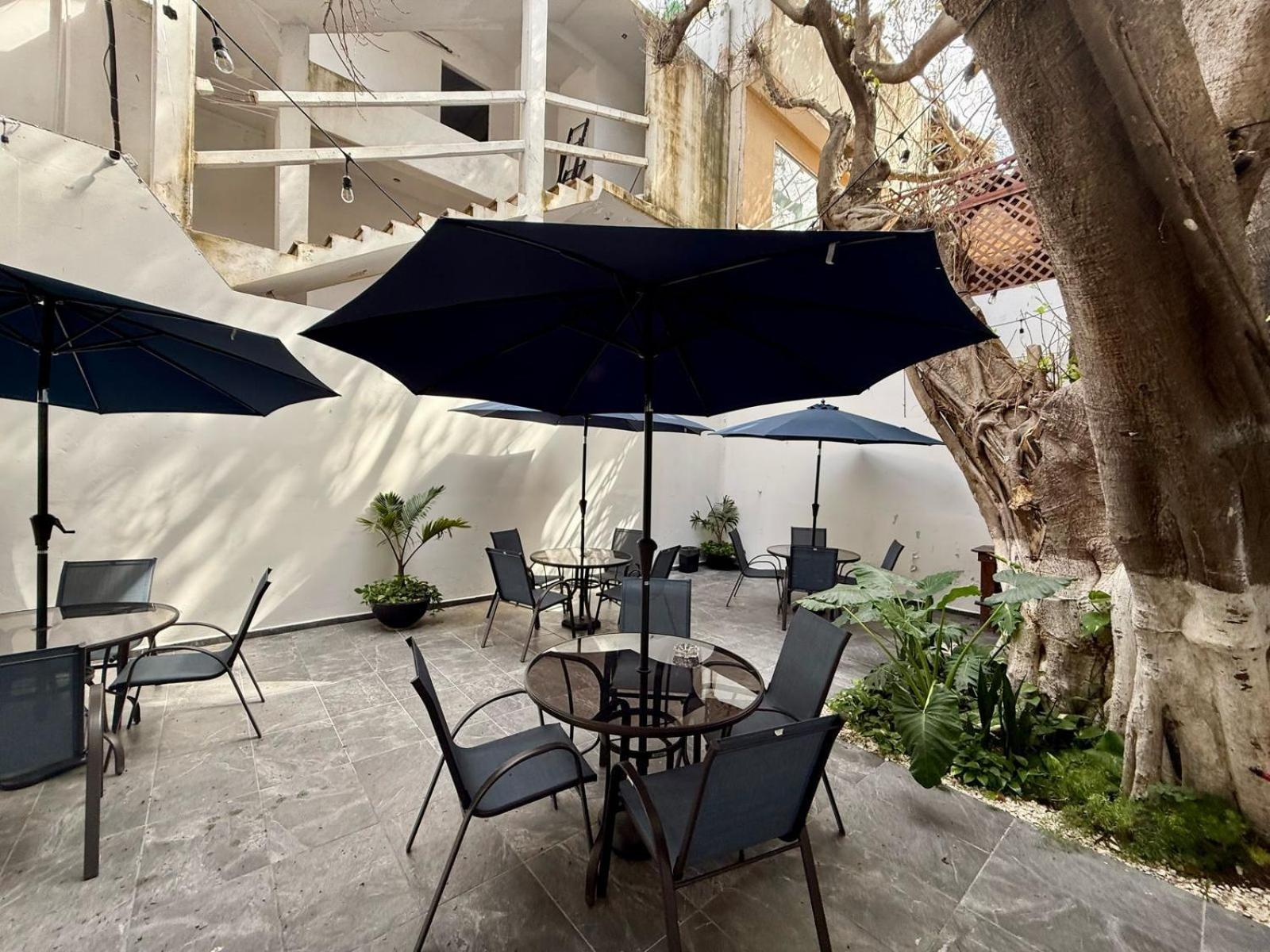 Casa Tortuga 5Th Ave Hotel Playa del Carmen Bagian luar foto